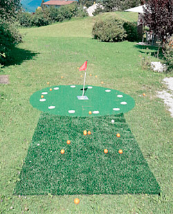 CARVINGGOLF: SHORT GOLF GIR home range