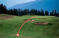 CARVINGGOLF: SHORT GOLF für
die präzise Annäherung